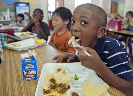 Alimentação Escolar