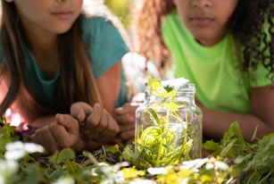 Educação Ambiental