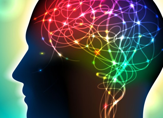 Neurociência - Fundamentos e Princípios